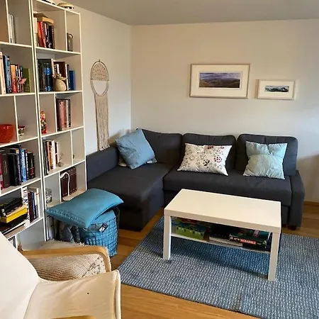 Apartment Centrally Located, Cozy W Free Prk. Reykjavik