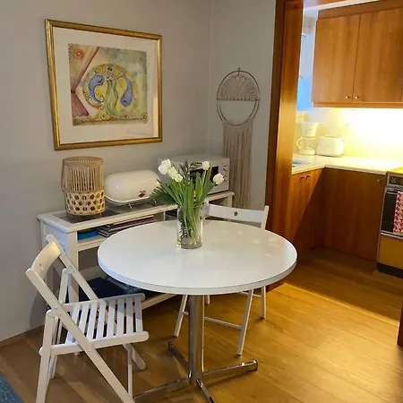 Apartment Centrally Located, Cozy W Free Prk. *